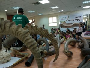 סדנת יצירת השופר