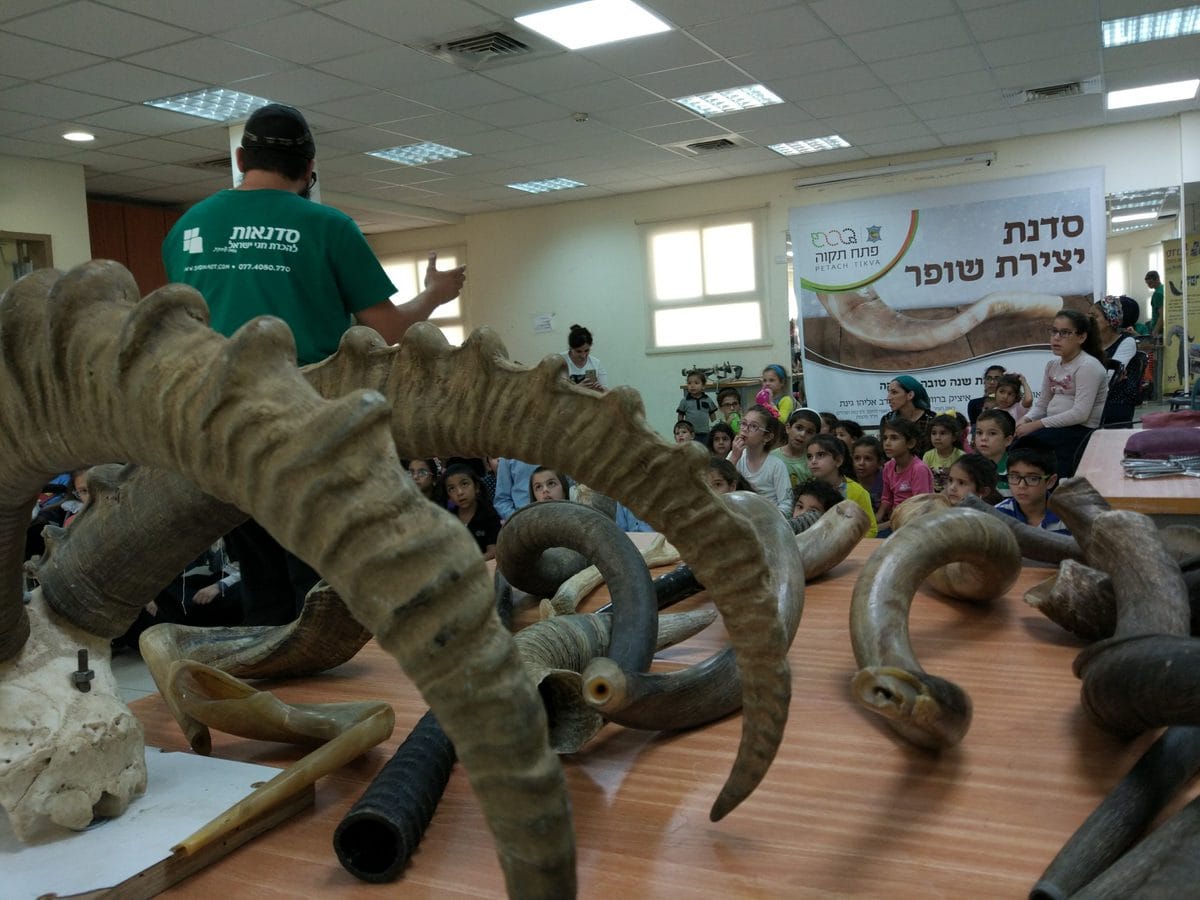 סדנת יצירת השופר