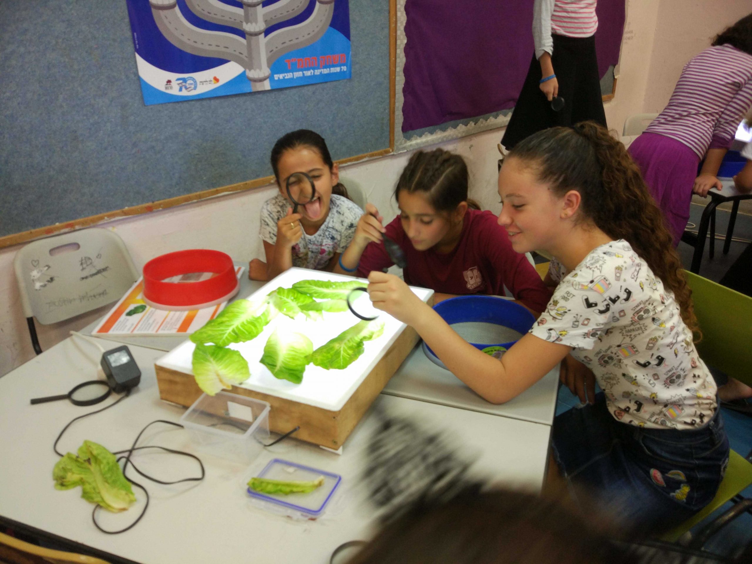 סדנת מעבדת הכשרות הגיעה לנהריה