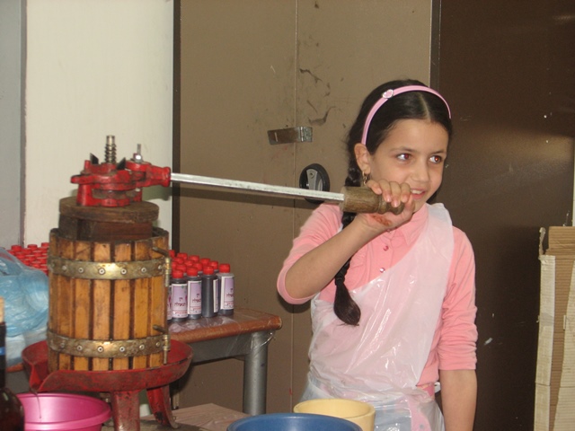 ילדה סוחטת את היין במכבש