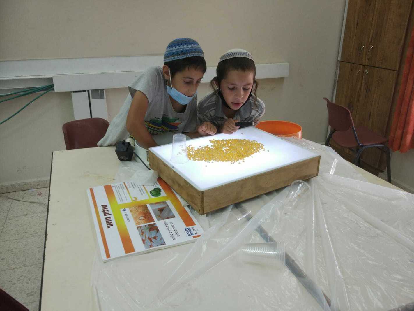 המדענים בסדנת מעבדת הכשרות