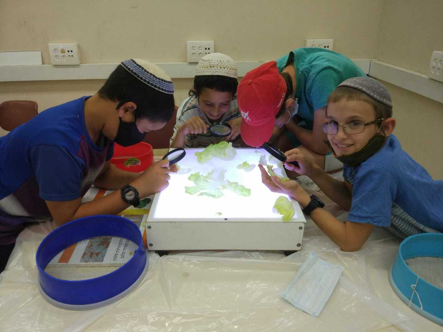 סדנת כשרות לילדים