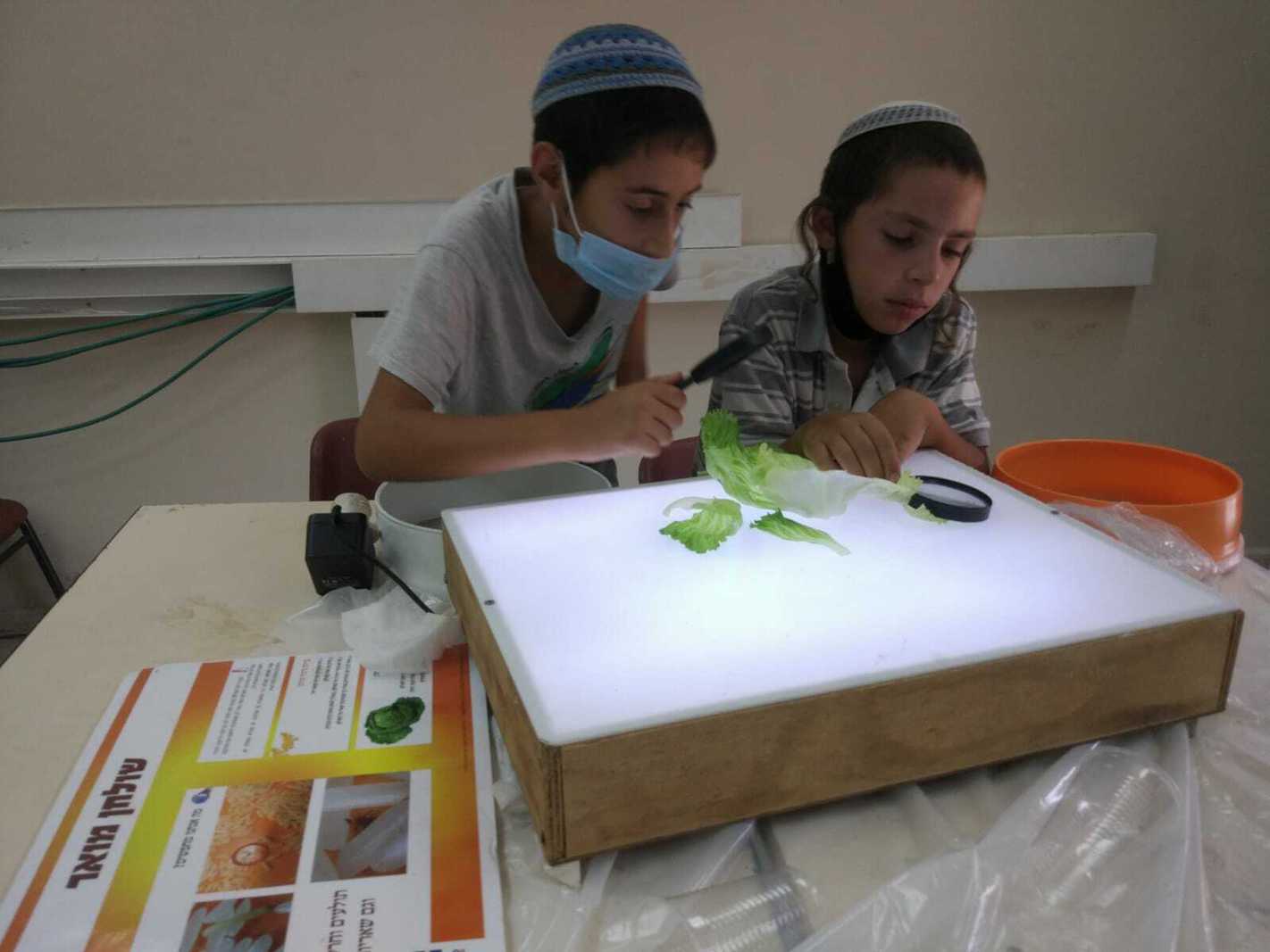 סדנת כשרות לילדים
