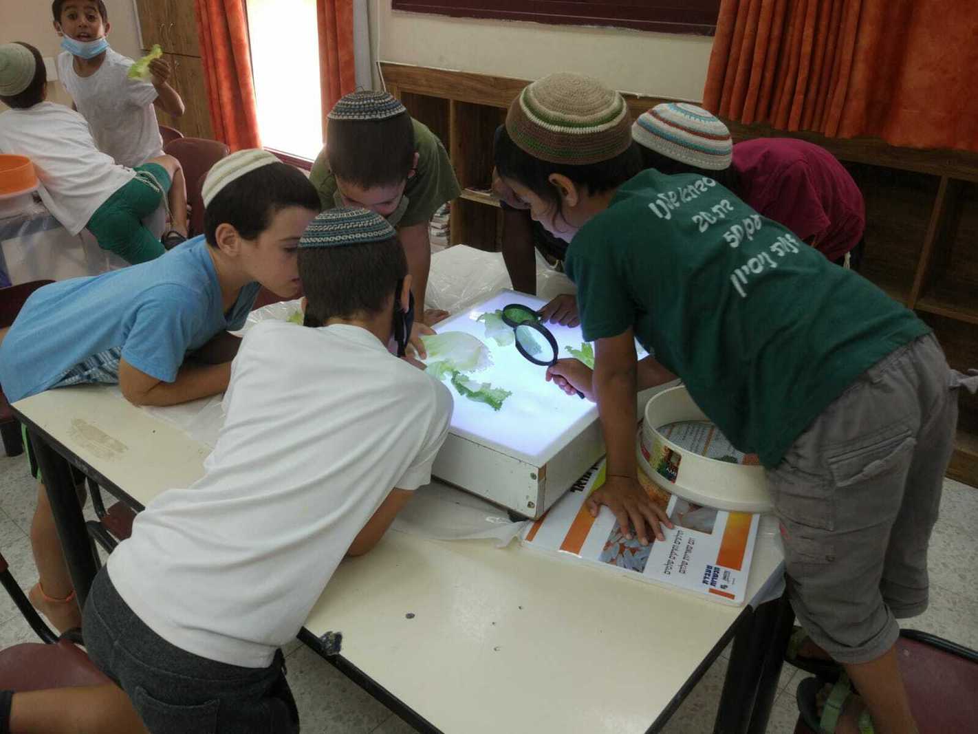 לומדים על הכשרות