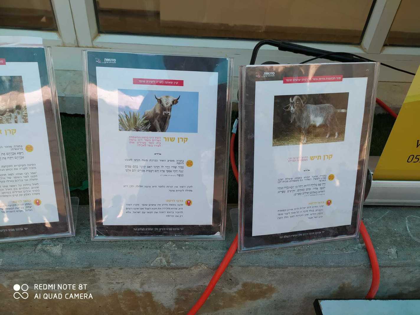 בית ספר הראל