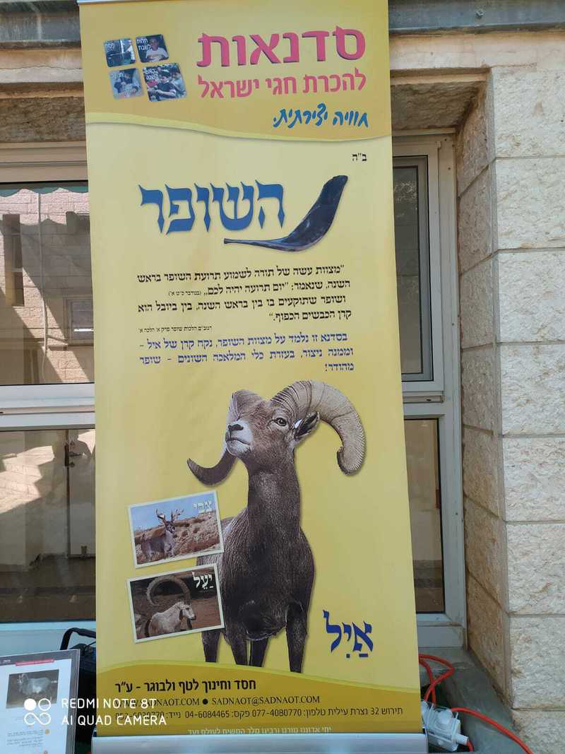 בית ספר הראל