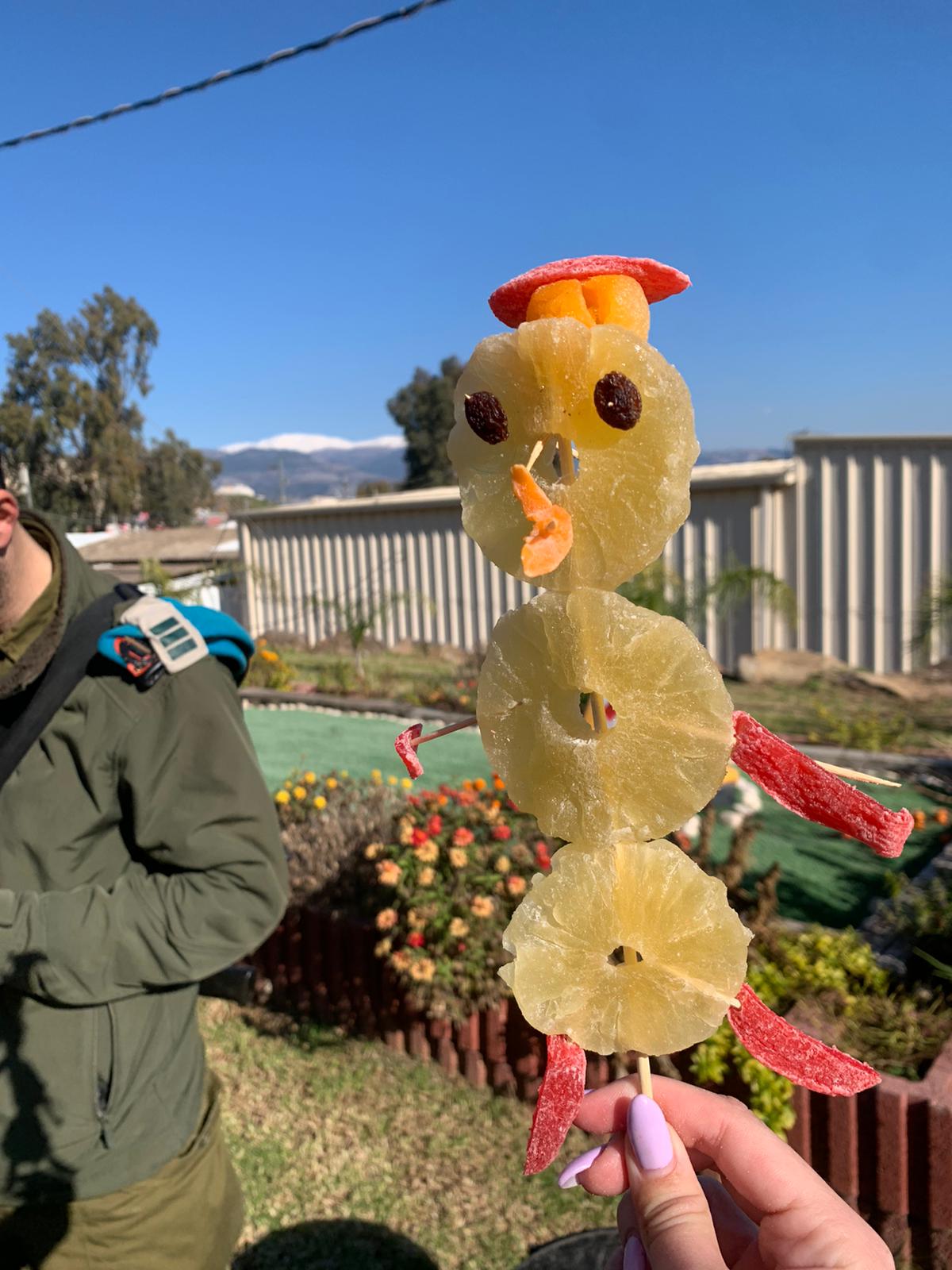 פרחים טעימים מפרות יבשים