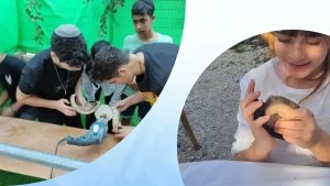 החופש הגדול
