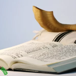 מה עושים ביום כיפור