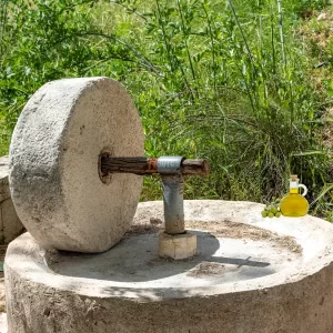 איך מכינים שמן זית