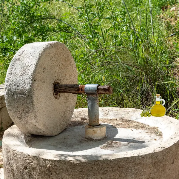 איך מכינים שמן זית